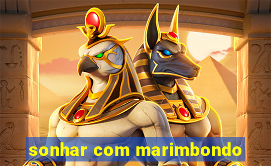 sonhar com marimbondo